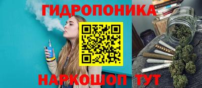 jwh Будённовск