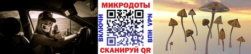 Галлюциногенные грибы GOLDEN TEACHER где купить наркоту Михайловка
