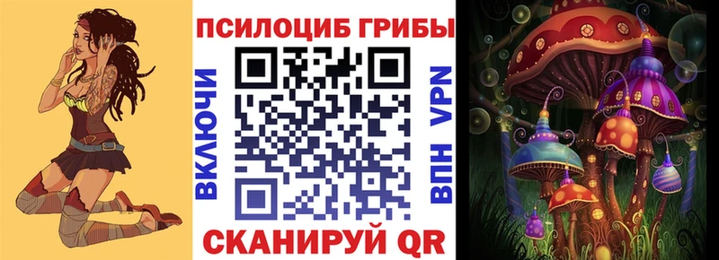 Галлюциногенные грибы Psilocybe Михайловка
