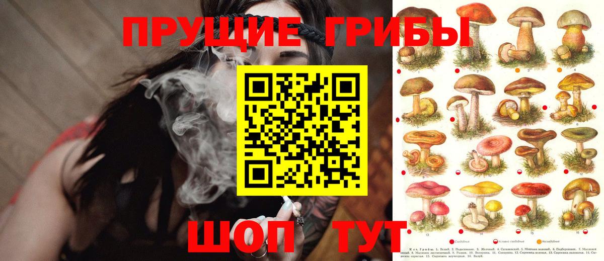 Галлюциногенные грибы MAGIC MUSHROOMS  Псилоцибиновые грибы MAGIC MUSHROOMS  Михайловка  Вход с VPN 