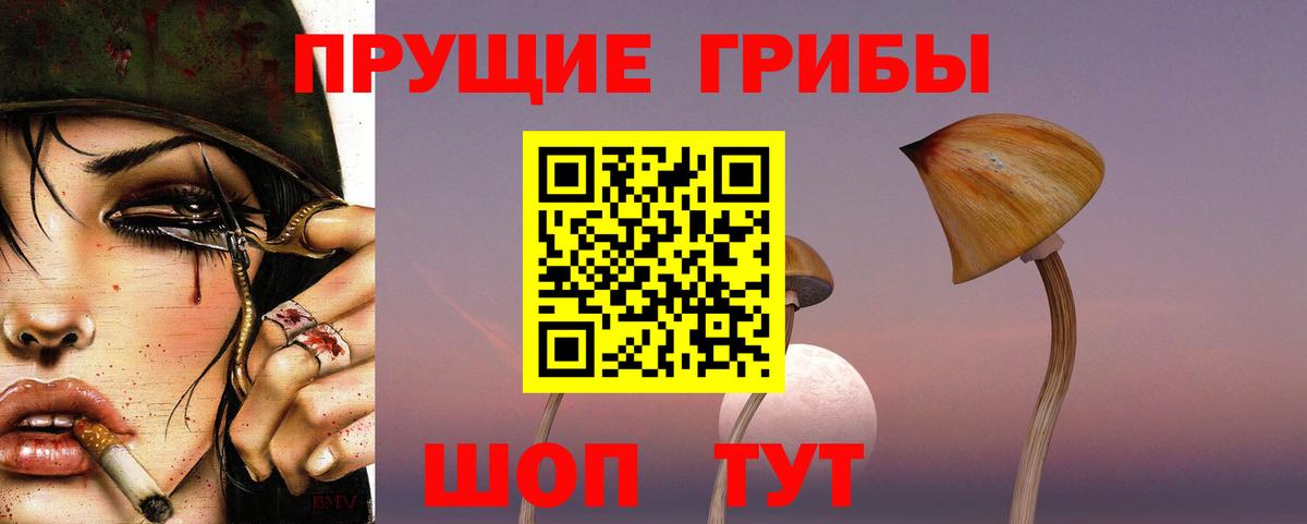Псилоцибиновые грибы Magic Shrooms Михайловка